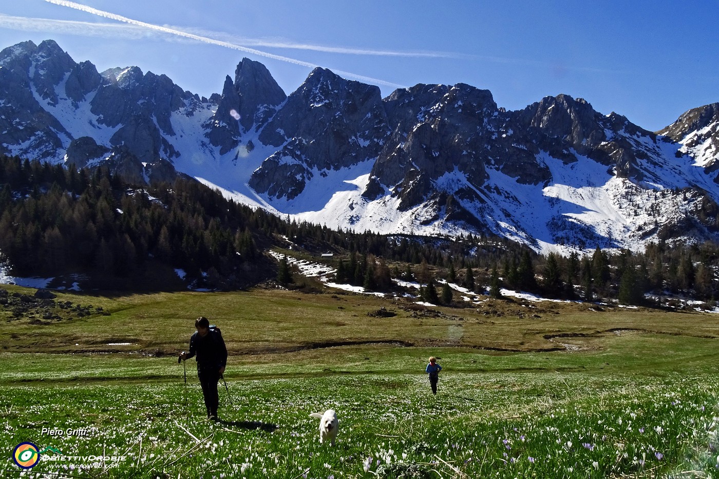 15 Estese fioriture di crocus vernus sullo sfondeo delle Piccole Dolomiti Scalvine .JPG -                                